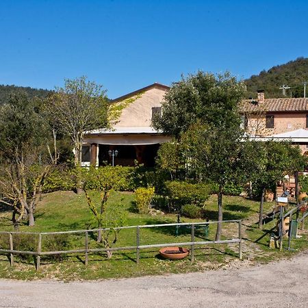 Agriturismo Torre Burchio Bettona Luaran gambar